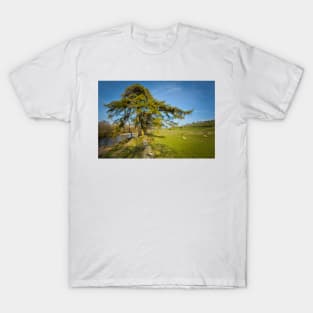 The River Swale T-Shirt